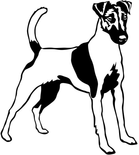 Adesivo fox terrier - adesivo,