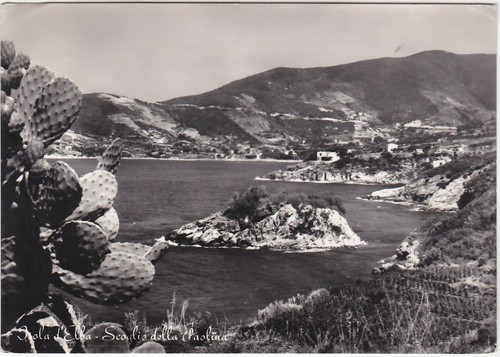Isola elba livorno - isola,