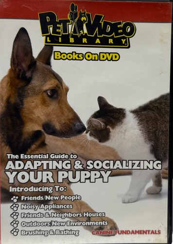 The essential guide - essential, to