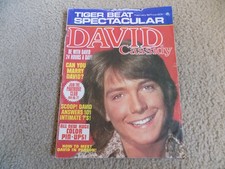 Tiger Beat spectacular