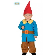 Costume nano vestito guirca - costume,