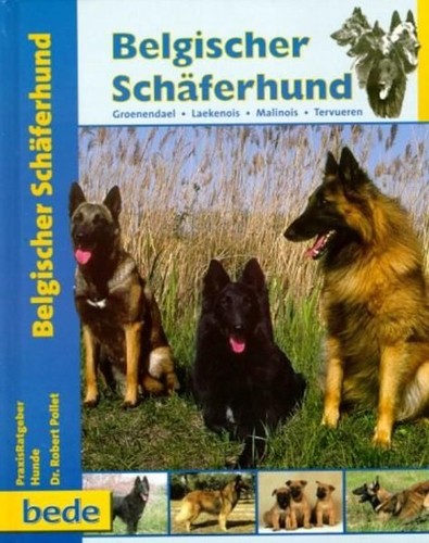 Belgischer schäferhund - schäferhund,