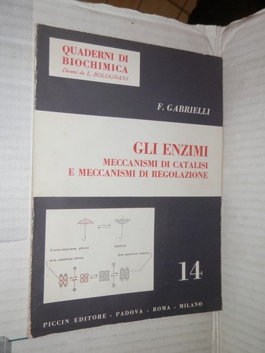 Gli enzimi gabrielli piccin - f,