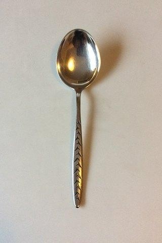 Piatto regata argento da - piatto,