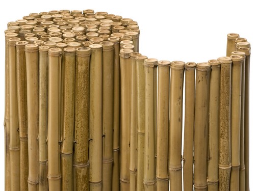 Bamboo deluxe pannello - bamboo,