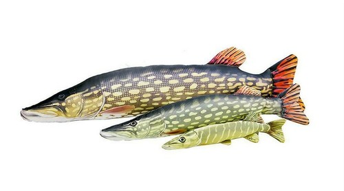 Cuscino forma pesce - a, di