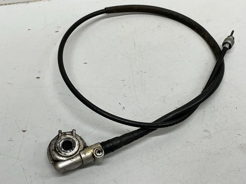 Rex rs1100 torino - rs1100, coclea