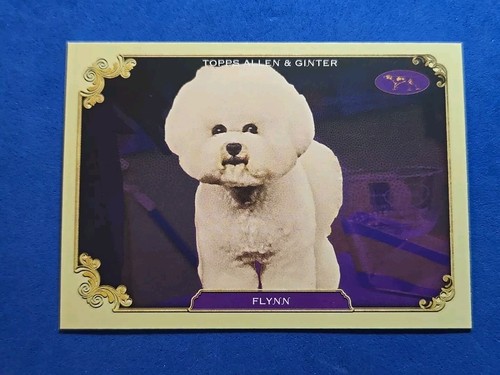 2024 flynn topps allen - flynn,