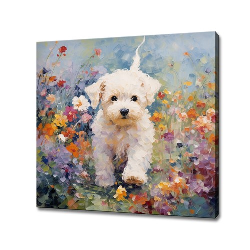 Quadro bichon frise cane - quadro,