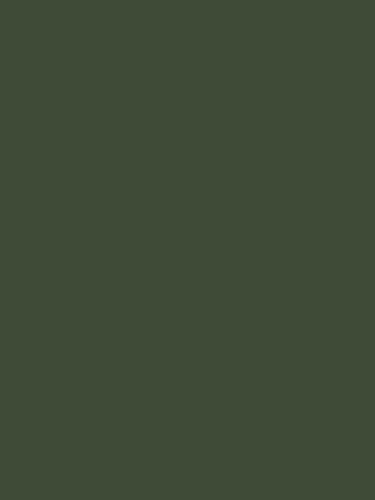Caldart vernice smalto - smalto, ral