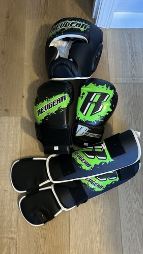 Revgear guantoni boxe - da,