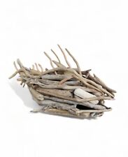 scultura Pesce Legni Marini Riciclati