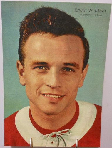Erwin waldner giocatore - erwin,