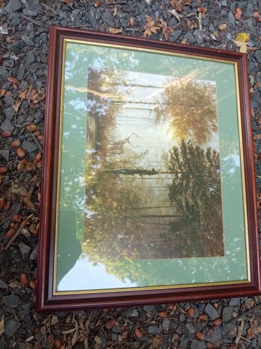 Quadro parete con cornice - quadro,