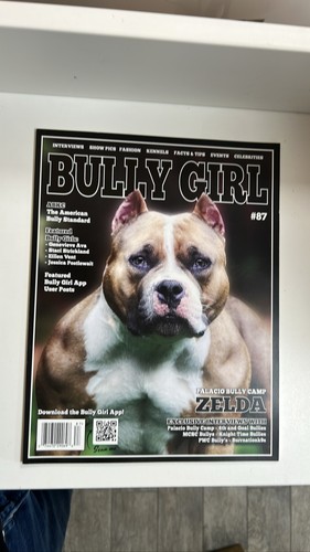 Bully girl magazine zelda - magazine, #87