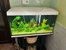 ACQUARIO COMPLETO 100 LITRI