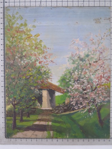 Paesaggio della campagna - paesaggio,