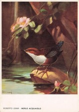 25-3C) CARTOLINA ROBERTO LEMMI