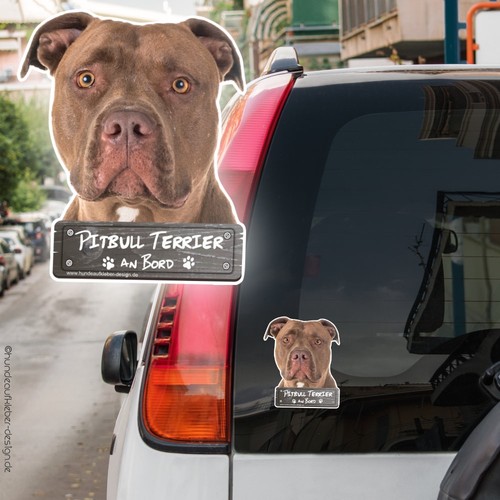 Adesivo auto american pit bull - adesivo,