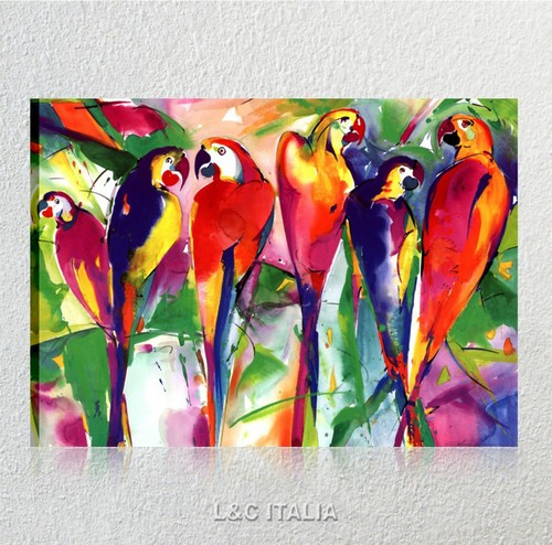 Pappagalli quadro moderno - quadro,