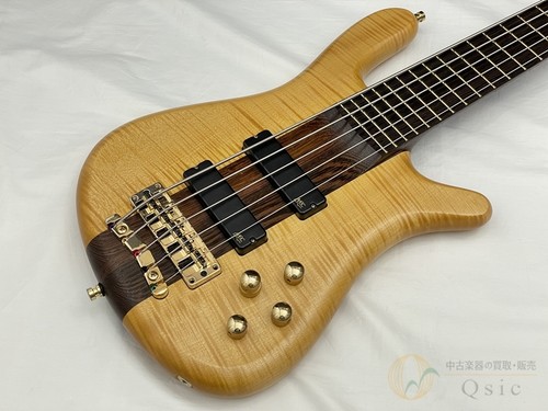 Warwick custom shop streamer - warwick,