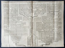 Stampa Antica Chatelain 1713 albero genealogico gesù cristo maccabei erode