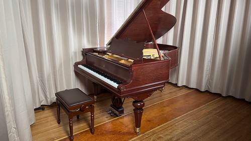 Steinway art case - steinway, piano