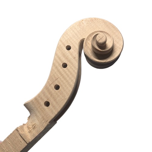 Testa pergamena collo - testa,