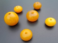 Lotto x6 Perle Ambra Africa