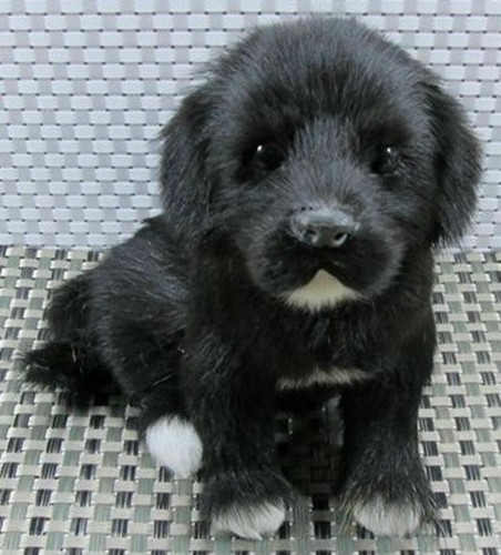 Peluche cane labrador nero