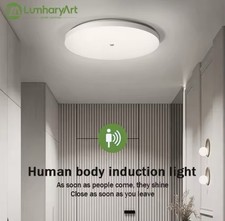 Automatic LED ceiling light