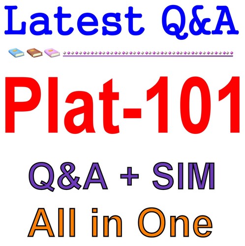 Plat 101 salesforce - plat-101,