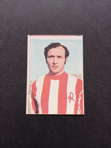 Figurina reli 1973 galupi - figurina,