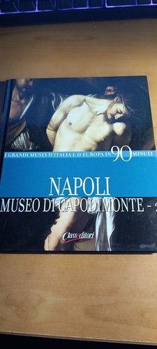 Napoli museo capodimonte - napoli, di