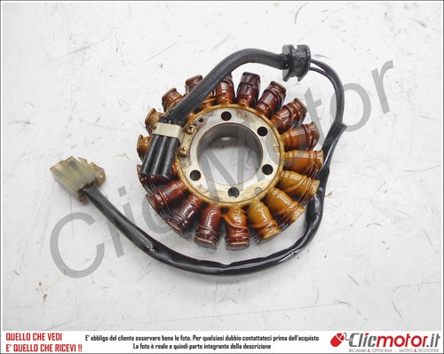 Statore generatore campo - statore,