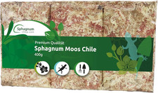 Muschio Di Sfagno per Terrari E Orchidee Dal Cile - Substrato Ideale E Bastoncin