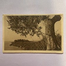 Erba foglia non - o, si