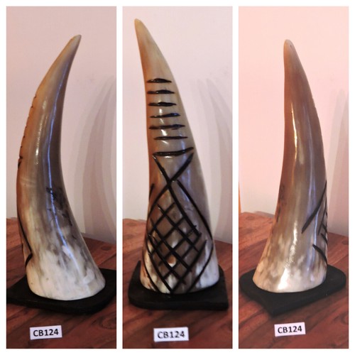 Corno bue africano originale - corno,