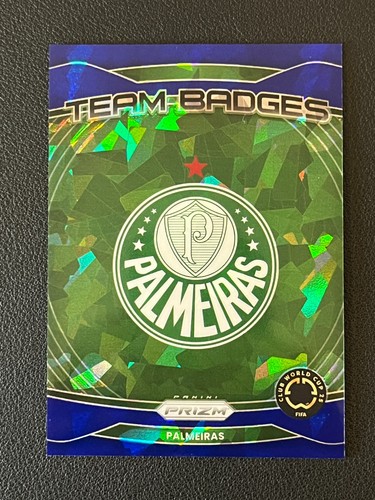 Distintivi squadra palmeiras - distintivi,