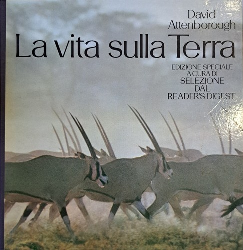 Vita sulla terra - vita, david