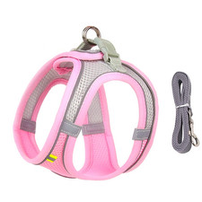 Guinzaglio per Cani Set per