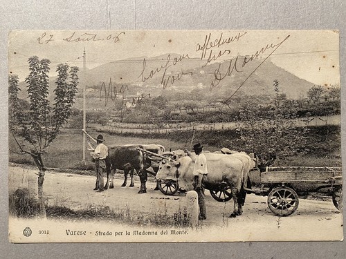 Varese strada per la madonna - -,