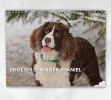 Calendario inglese Springer