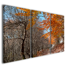 Quadro Colors autumn III