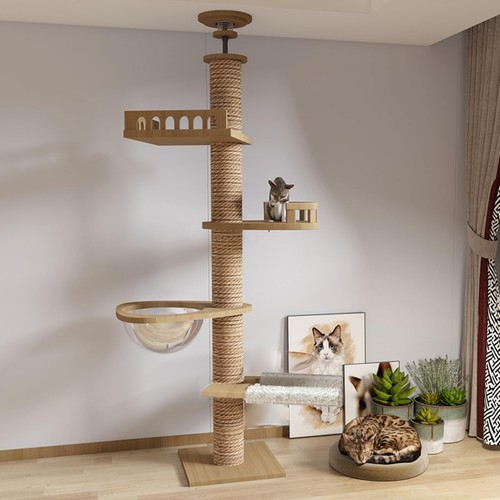 Tiragraffi soffitto - a,