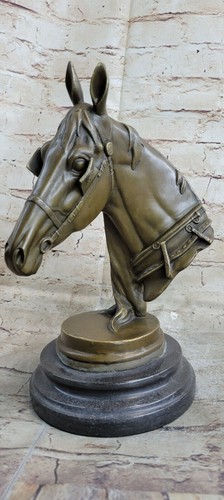 Cavallo amanti vero - amanti,