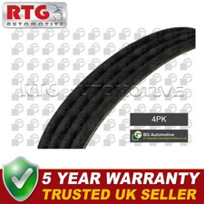 Cintura alternatore adatta a