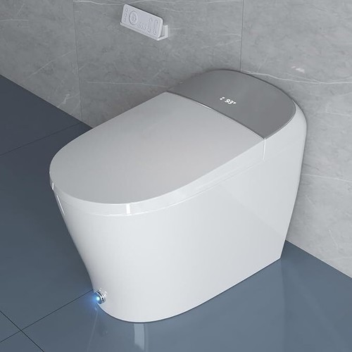 Bidet toilet auto open close - bidet, w/auto
