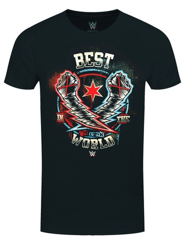Wwe punk best the - best,