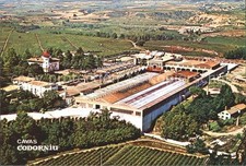 Codorniu ripresa aerea Cavas